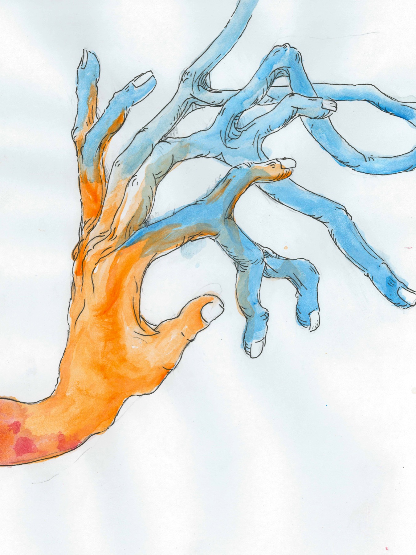 A watercolor drawing of an orange hand branching into blue finger-like limbs.