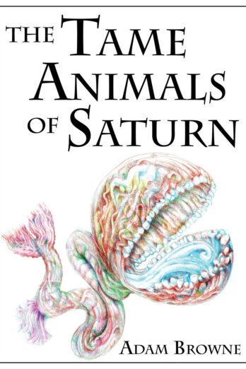 Cover of The Tame Animals of Saturn by Adam Browne.